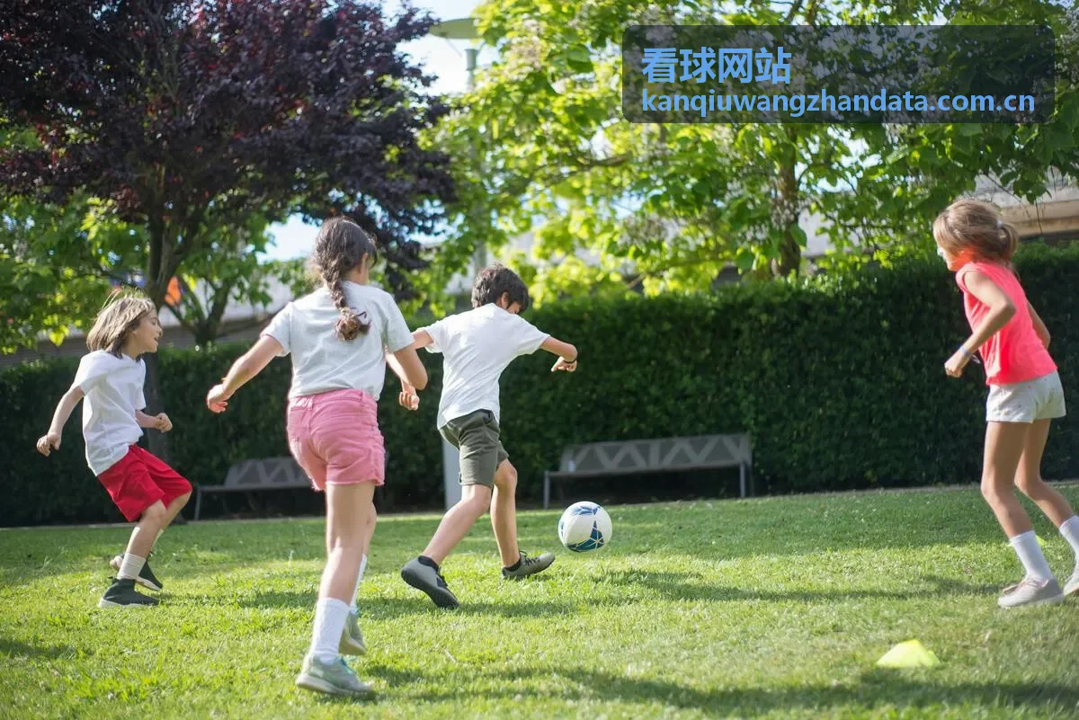 看球网站转会新闻 - 冬季转会窗口最新动态